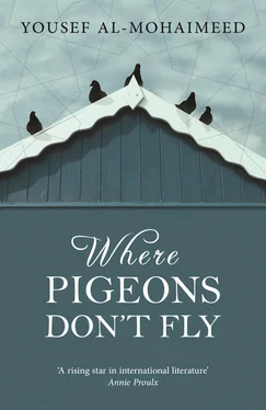 Yousef Al-Mohaimeed Where Pigeons Don't Fly обложка книги