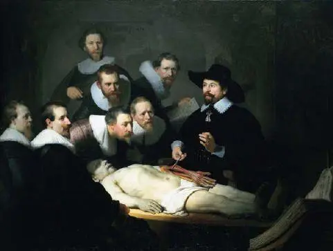 Fig 5 Rembrandt The Anatomy Lesson 1632 Mauritshuis The Hague - фото 5