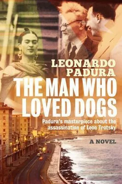 Leonardo Padura The Man Who Loved Dogs обложка книги