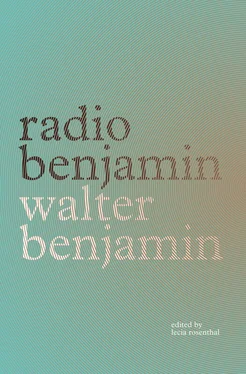 Walter Benjamin Radio Benjamin обложка книги
