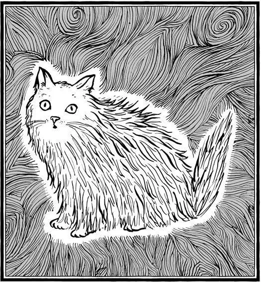 BLACKBERRY THE QUEEN OF THE MUNCHKINS Some cat breeds sport long hair some - фото 8