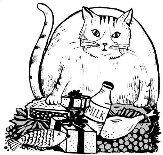 TONI THE WORLDS MOST ELIGIBLE FELINE BACHELOR Is it possible to be too - фото 79