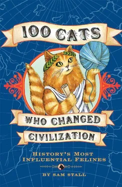 Sam Stall 100 Cats Who Changed Civilization обложка книги