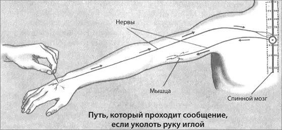 Согласно статистике диабетом болеют 236 миллиона американцев По данным - фото 5