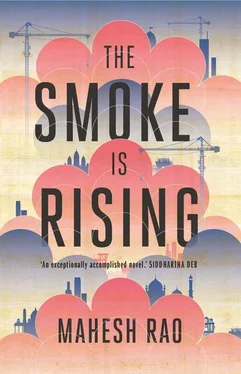 Mahesh Rao The Smoke is Rising обложка книги