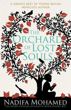 Nadifa Mohamed The Orchard of Lost Souls обложка книги