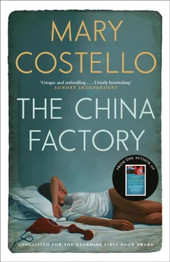 Mary Costello The China Factory обложка книги