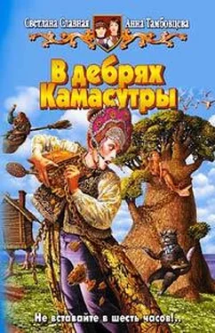 Светлана Славная В дебрях Камасутры обложка книги