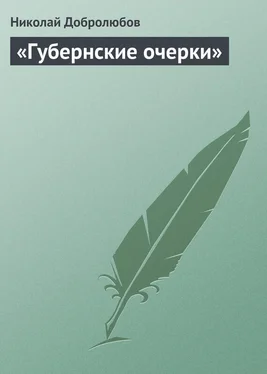 Николай Добролюбов «Губернские очерки» обложка книги