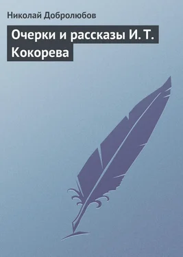 Николай Добролюбов Очерки и рассказы И. Т. Кокорева обложка книги