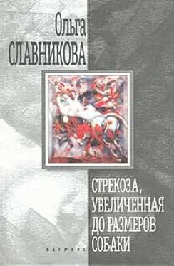 Ольга Славникова Стрекоза, увеличенная до размеров собаки обложка книги