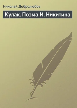 Николай Добролюбов Кулак. Поэма И. Никитина обложка книги