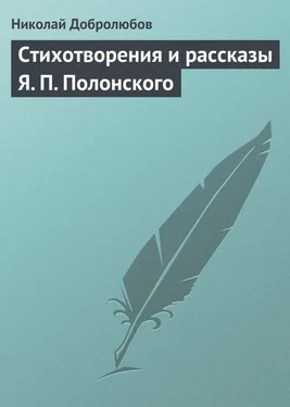 Николай Добролюбов Стихотворения и рассказы Я. П. Полонского обложка книги