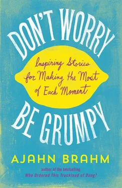 Ajahn Brahm Don't Worry, Be Grumpy обложка книги