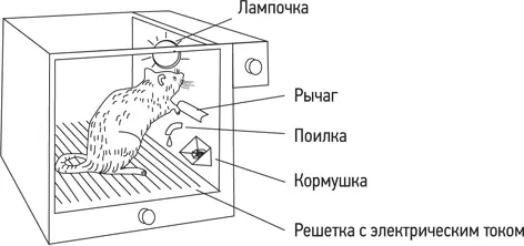 Ящик Скиннера Издержки изобретения ящика Скиннера В 1943 году беременная - фото 2