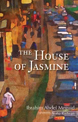 Ibrahim Meguid - The House of Jasmine