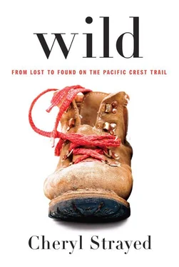 Cheryl Strayed Wild обложка книги