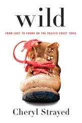 Cheryl Strayed - Wild