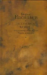 Борис Васильев - И был вечер, и было утро. Капля за каплей. Летят мои кони