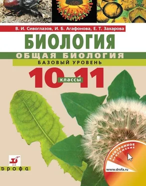 Екатерина Захарова Биология. Общая биология. Базовый уровень. Учебник для 10–11 класс обложка книги