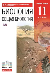Екатерина Захарова - Биология. Общая биология. 11 класс. Базовый уровень