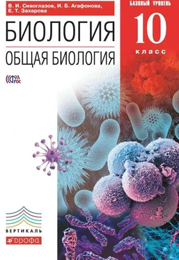 Екатерина Захарова Биология. Общая биология. 10 класс. Базовый уровень обложка книги