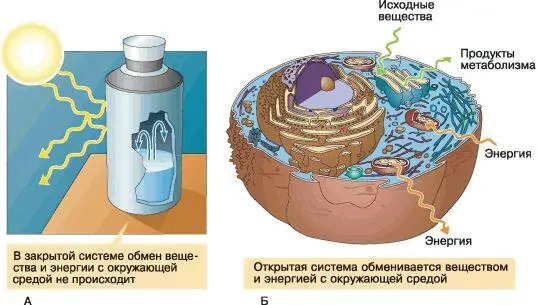 Рис 3 Закрытая А и открытая Б системы Наследственность и изменчивость - фото 5