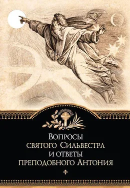 Сборник Вопросы святого Сильвестра и ответы преподобного Антония обложка книги