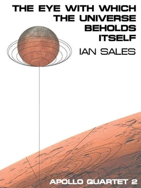 Ian Sales The Eye with Which the Universe Beholds Itself обложка книги