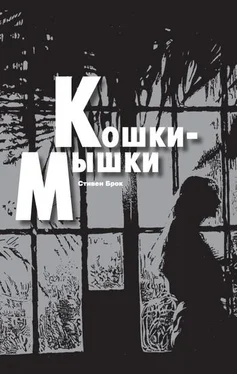 Стивен Брок Кошки-мышки обложка книги