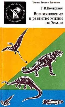 Георгий Войткевич Возникновение и развитие жизни на Земле обложка книги