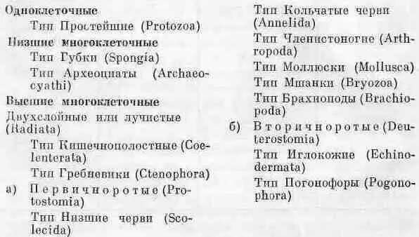 Относительно находок самых древних представителей простейших которые в - фото 30