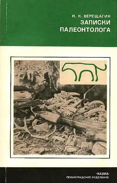 Николай Верещагин Записки палеонтолога. По следам предков обложка книги