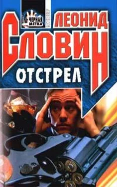 Леонид Словин Отстрел обложка книги