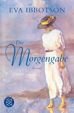 Eva Ibbotson Die Morgengabe обложка книги