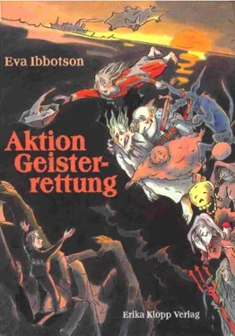 Eva Ibbotson Aktion Geisterrettung обложка книги