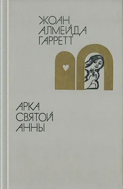 Жоан Алмейда Гарретт Арка святой Анны обложка книги