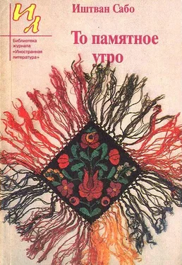 Иштван Сабо То памятное утро обложка книги