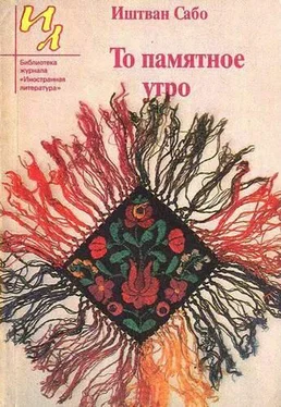 Иштван Сабо Давнее воскресенье обложка книги