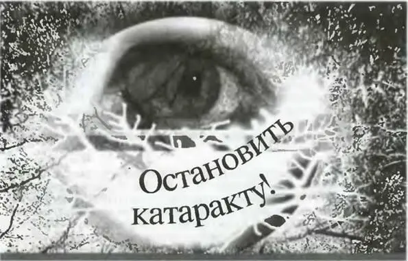 Группа отечественных исследователей совместно с зарубежными коллегами - фото 8