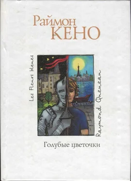 Раймон Кено Голубые цветочки обложка книги