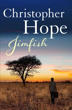Christopher Hope Jimfish обложка книги