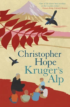 Christopher Hope Kruger's Alp обложка книги