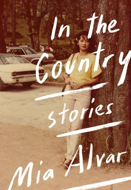 Mia Alvar In the Country: Stories обложка книги