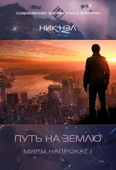 Нэл Ник - Путь на Землю (СИ)