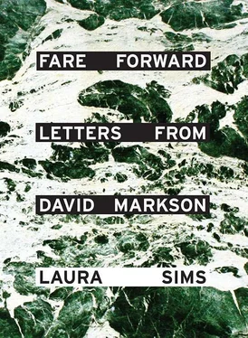 David Markson Fare Forward: Letters from David Markson обложка книги