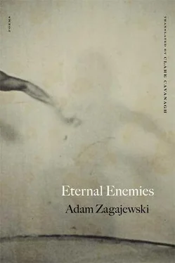 Adam Zagajewski Eternal Enemies: Poems обложка книги
