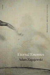 Adam Zagajewski - Eternal Enemies - Poems