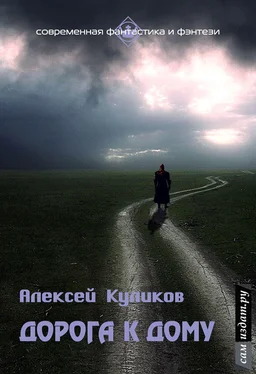 Алексей Куликов Дорога к дому (СИ) обложка книги