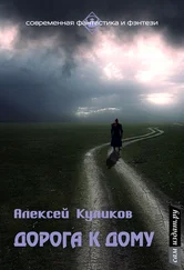 Алексей Куликов - Дорога к дому (СИ)